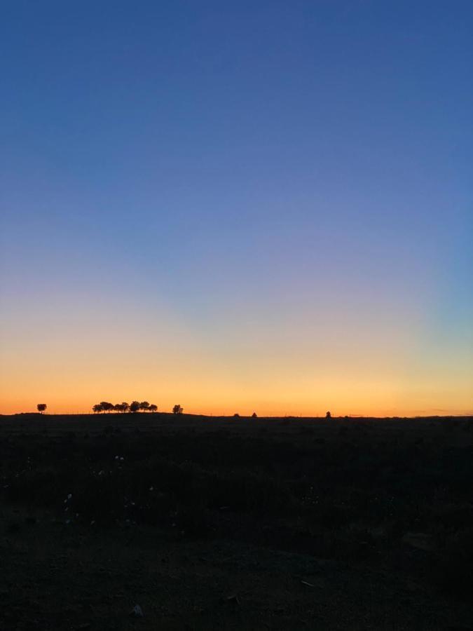 Herdade De Alagaes Mértola المظهر الخارجي الصورة